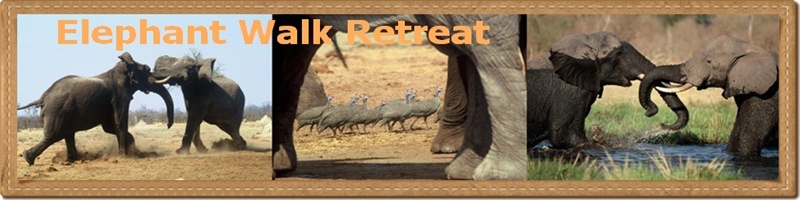 elephant-walk-retreat
