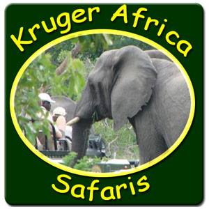 kruger-africa-safaris