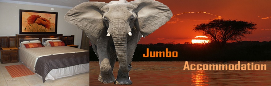 jumbo-verblyf-phalaborwa